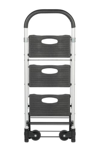 BS-ROLLEN Chariot de transport pliant / échelle universelle, force 90 kg