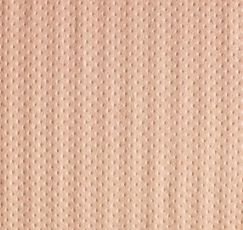 Rouleau de papier d'essuyage Eco pour usage quotidien, 800 lingettes, cellulose