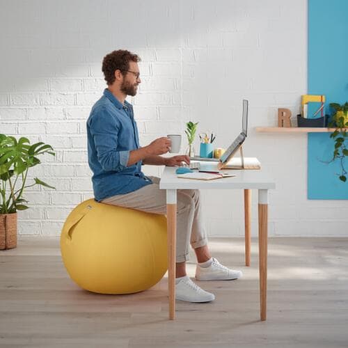 Leitz Ballon-siège Ergo Cosy
