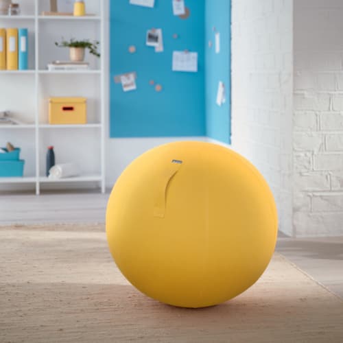 Leitz Ballon-siège Ergo Cosy