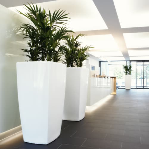 Jardinière trapézoïdale degardo® TREVIA